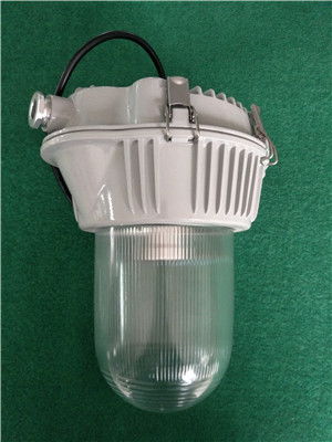 NF302防水防塵工廠(chǎng)燈 工業(yè)照明的堅(jiān)實(shí)防線(xiàn)